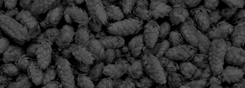 Hops for making beer background image